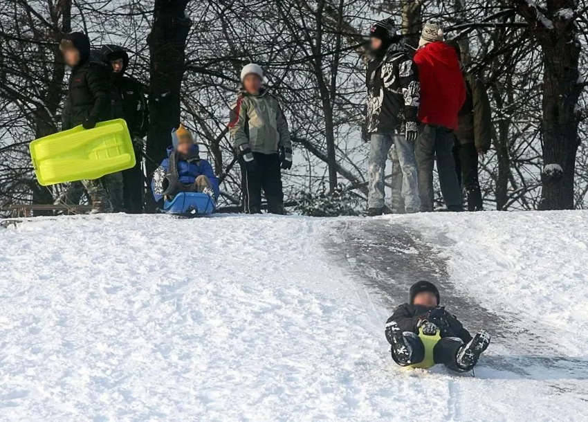 Горка для санок во Вроцлаве. Горка в парке Толпы (Górka w Parku Tołpy)