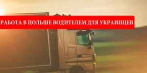 Работа в Польше водителем для украинцев