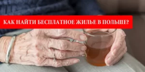 Как найти бесплатное жилье в Польше украинцу