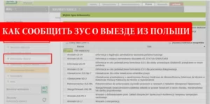 Пошаговая инструкция уведомления ЗУС о своем выезде из Польши