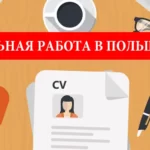 Легальная работа во Вроцлаве. Что важно знать?