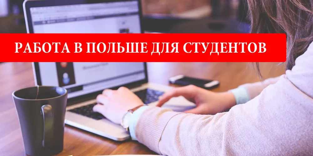 Работа в Польше для студентов: как найти, актуальные вакансии | Жить в