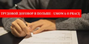 Трудовой договор в Польше: что это, какие бывают, что дает