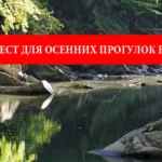 Отдых в Польше: 5 самых красивых мест для осенних прогулок