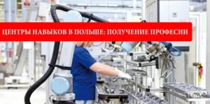 Отраслевые центры навыков в Польше. Как овладеть современными профессиями?