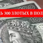 Как украинцам в Польше получить помощь в размере 300 злотых?