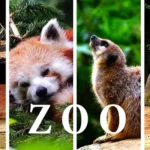 Зоопарки Польша
