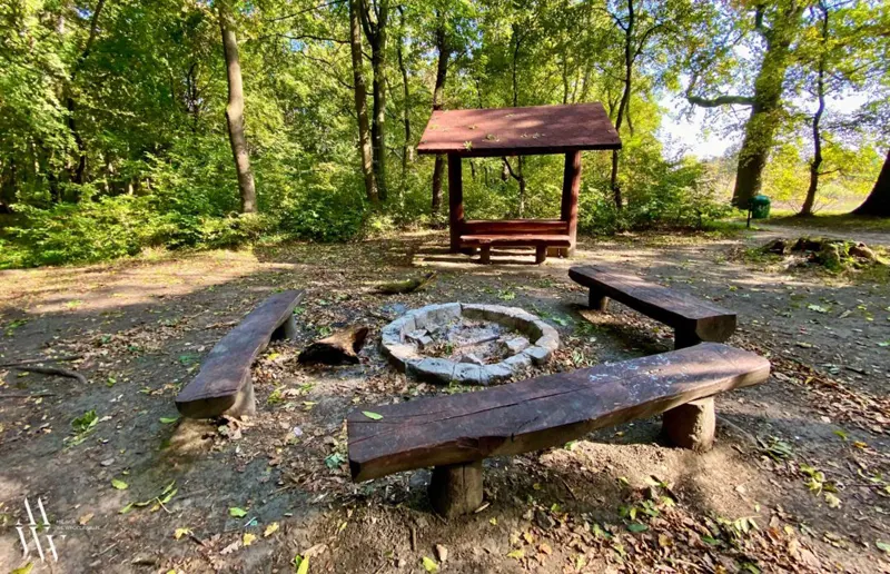 Место для костра для жарки шашлыка в лесу во Вроцлаве