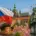 Майские праздники и выходные в Чехии 2025