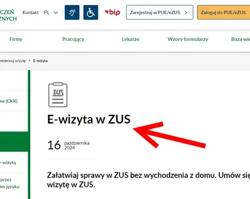 Онлайн-консультация в ZUS