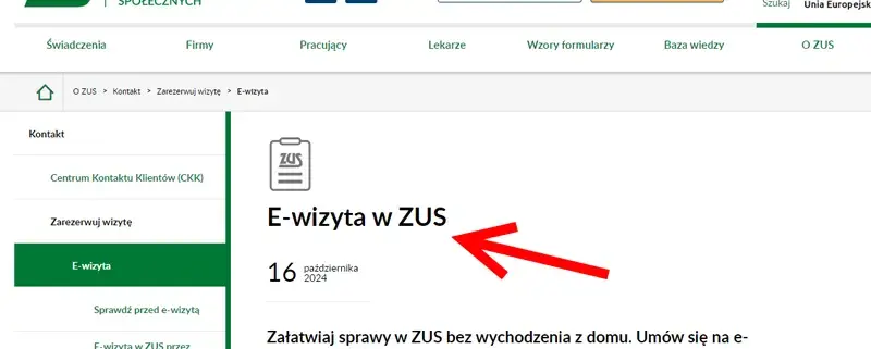 Онлайн-консультация в ZUS