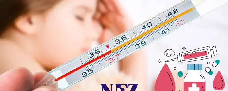 Как работает медицина в Польше