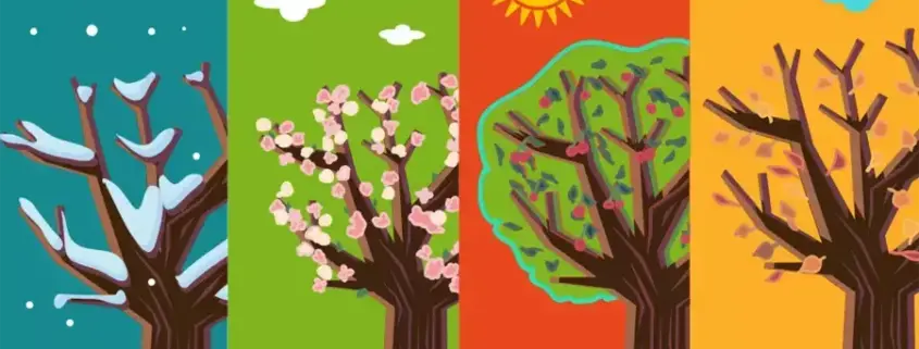 Месяца на чешском языке