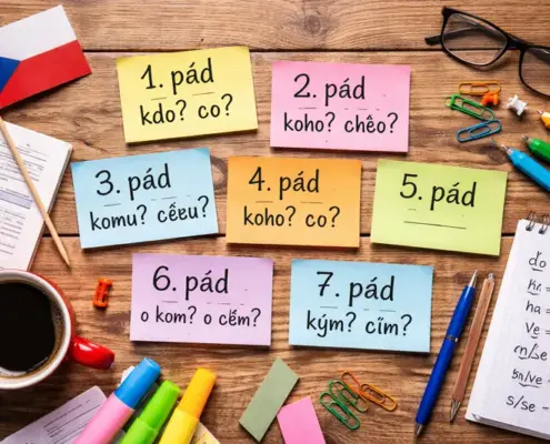 Падежи в чешском